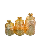 RXG-158 Glass Storage Jare  12c