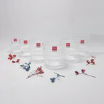 1988-228 Glass 6Pcs Set 333ml 8c