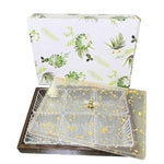 SHI-086 6-Sec Dry Fruit Tray