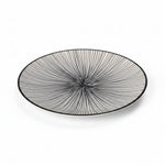 85P 2010 8.5"Flat Plate 6-48c