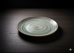 105P 2018 10.5"Flat Plate 6-36c