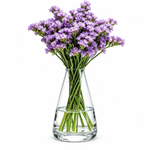 Danny Home 305ml Modern Tapered Clear Glass Flower Vase – Elegant Tabletop Flower & Stem Display