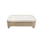 BR0016 10"RECT PLATE WITH STAND 6c