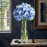 Danny Home Luxury Clear Glass Flower Vase - Premium Centerpiece for Living Room & Table Decor