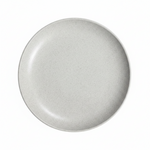 T12-01 10.5'' Dinner Plate 4-20c