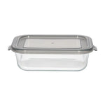 BXH04-03 630ml Rect Crisper G+P Lid 24c