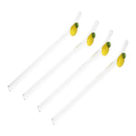 STR24 Glass Straw 5Pcs Set 20cm 50c